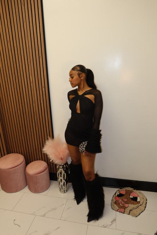 RESTOCKED-Runway Sheer Dress